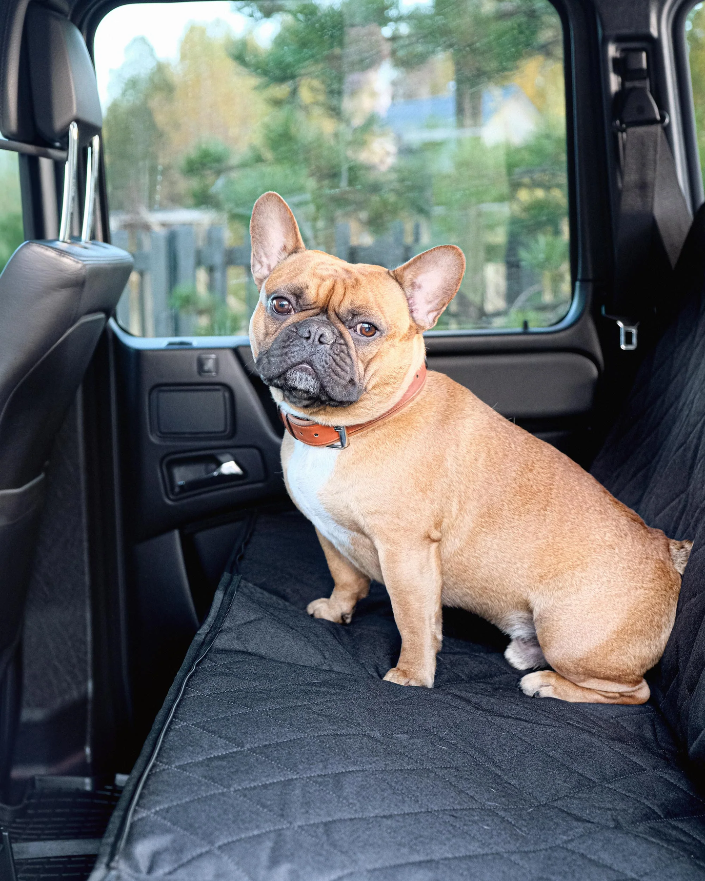 Car Seat Cover