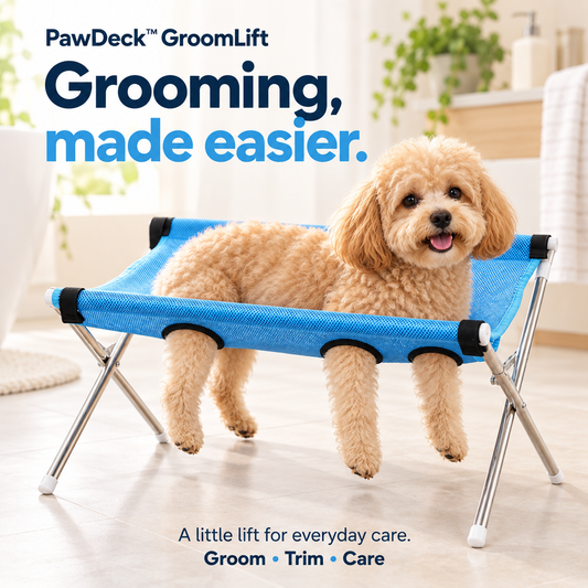 Small curly-haired dog on a blue PawDeck GroomLift pet grooming stand.