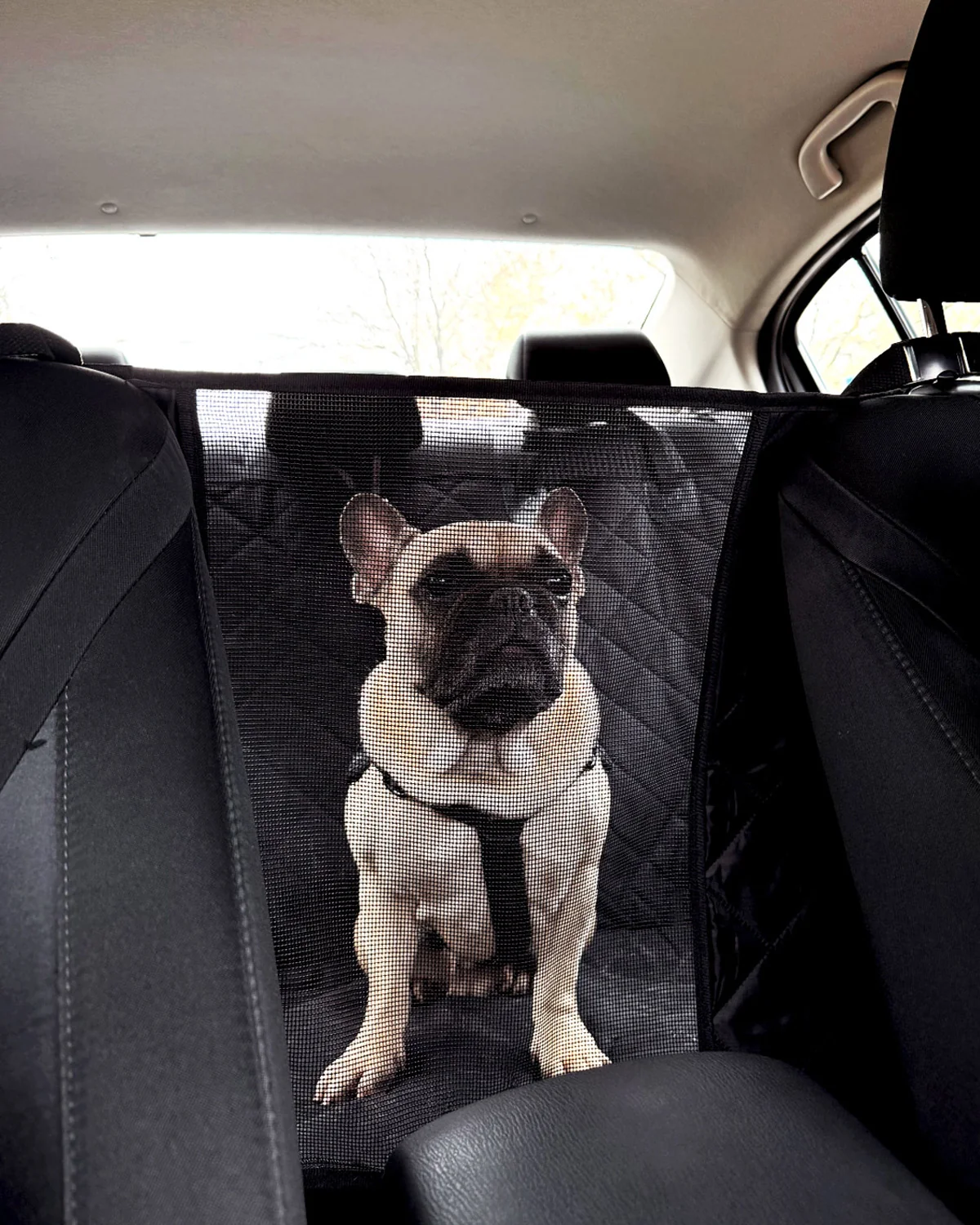 Car Seat Cover