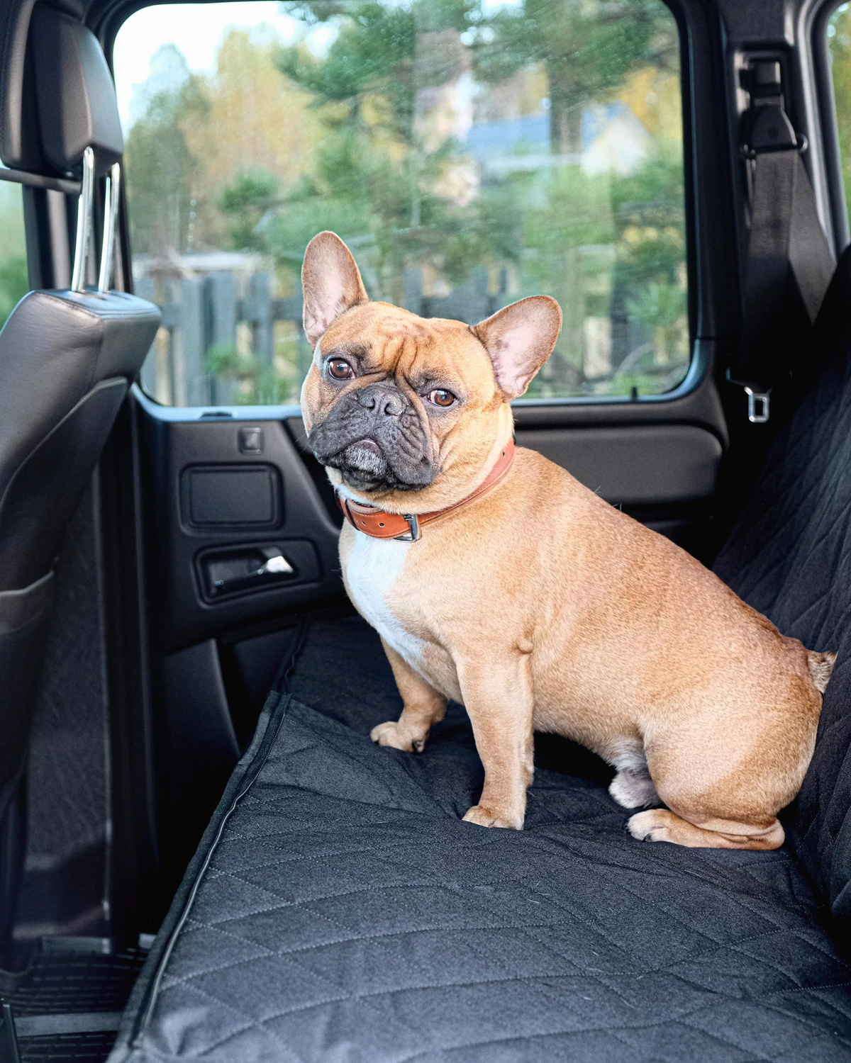 Car Seat Cover
